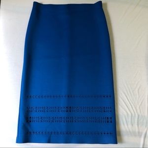 High Waisted Skirt with Cutouts